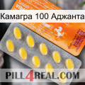 Камагра 100 Аджанта new05